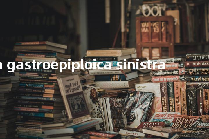 Arteria gastroepiploica sinistra单词图解，单词释义场景配图