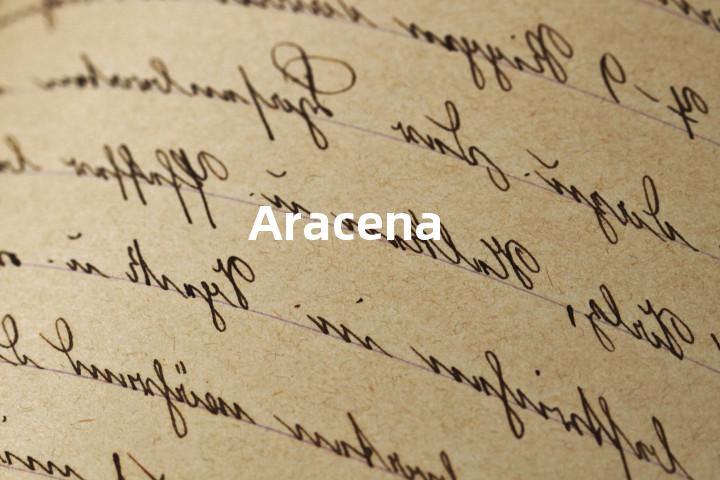 Aracena单词图解，单词释义场景配图