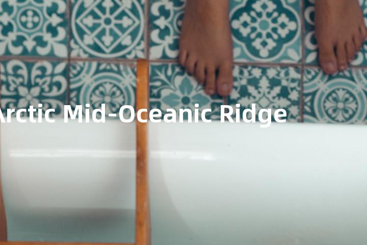 Arctic Mid-Oceanic Ridge单词图解，单词释义场景配图