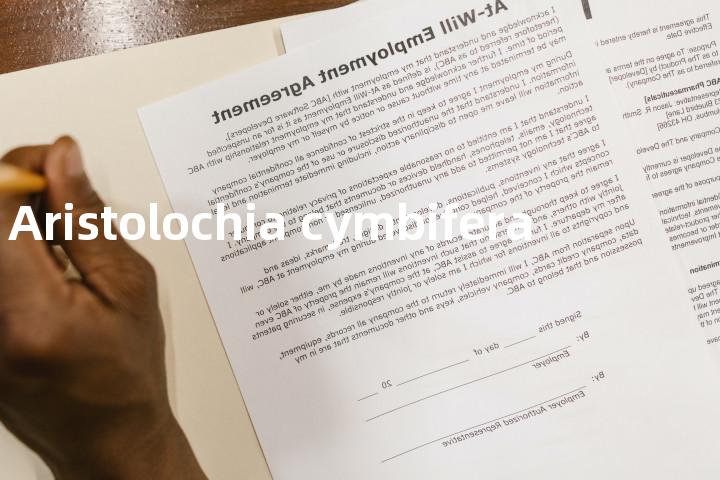 Aristolochia cymbifera单词图解，单词释义场景配图