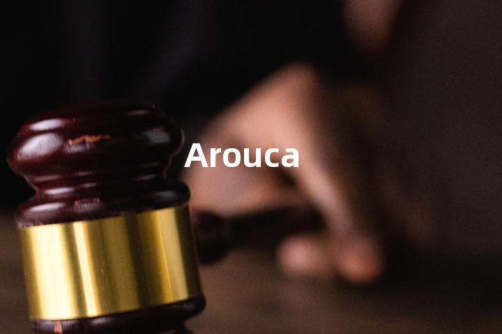 Arouca单词图解，单词释义场景配图