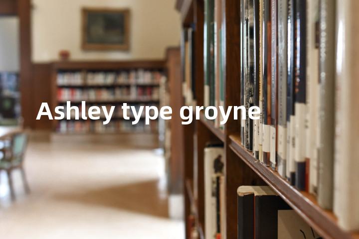 Ashley type groyne单词图解，单词释义场景配图