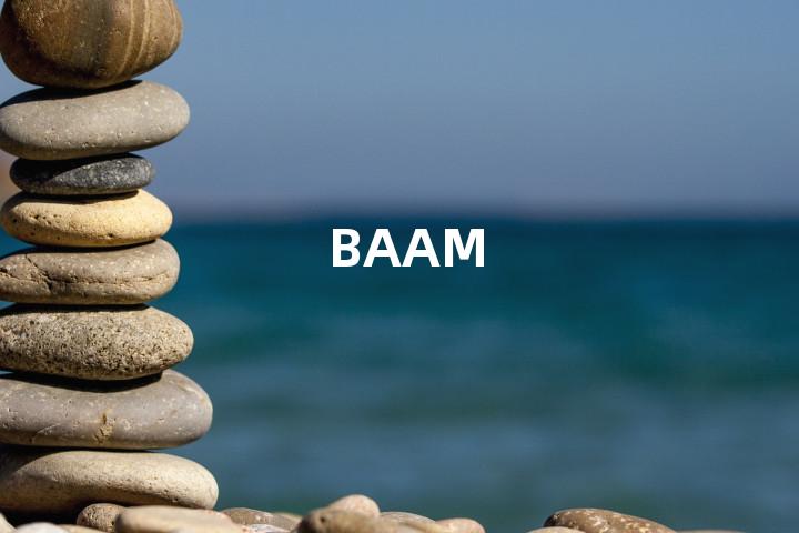 BAAM单词图解，单词释义场景配图