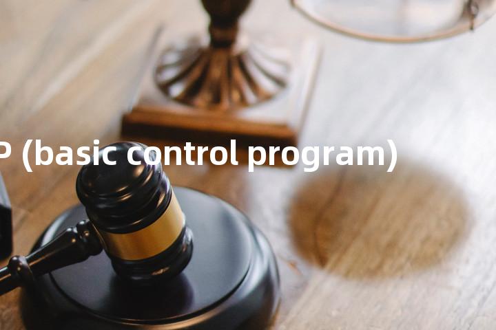BCP (basic control program)单词图解，单词释义场景配图