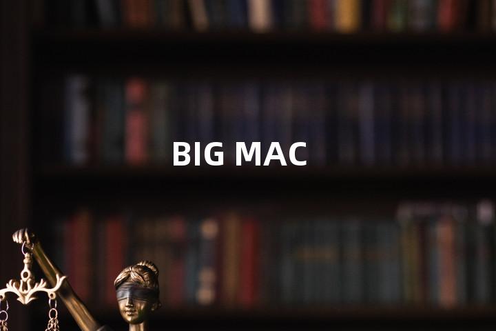 BIG MAC单词图解，单词释义场景配图