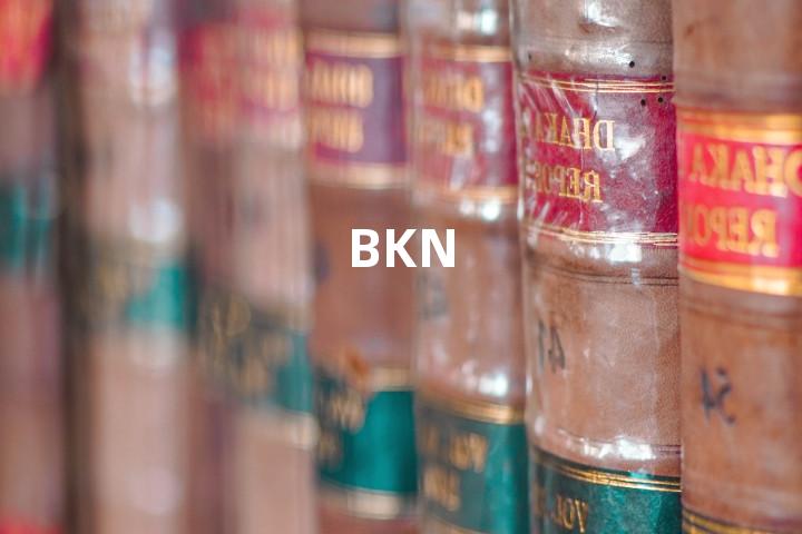BKN单词图解，单词释义场景配图
