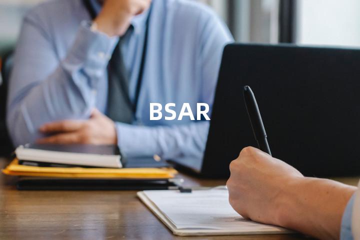 BSAR单词图解，单词释义场景配图