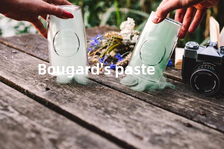 Bougard's paste单词图解，单词释义场景配图