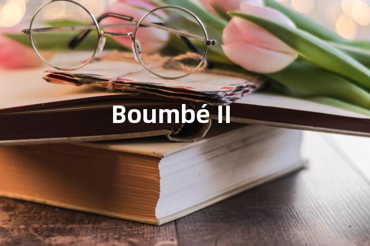 Boumbé II单词图解，单词释义场景配图