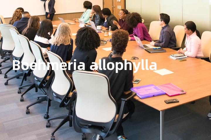 Boehmeria allophylla单词图解，单词释义场景配图
