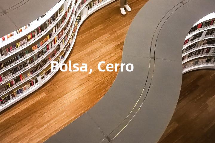 Bolsa, Cerro单词图解，单词释义场景配图