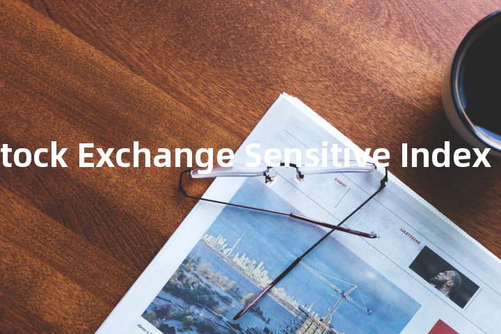 Bombay Stock Exchange Sensitive Index单词图解，单词释义场景配图