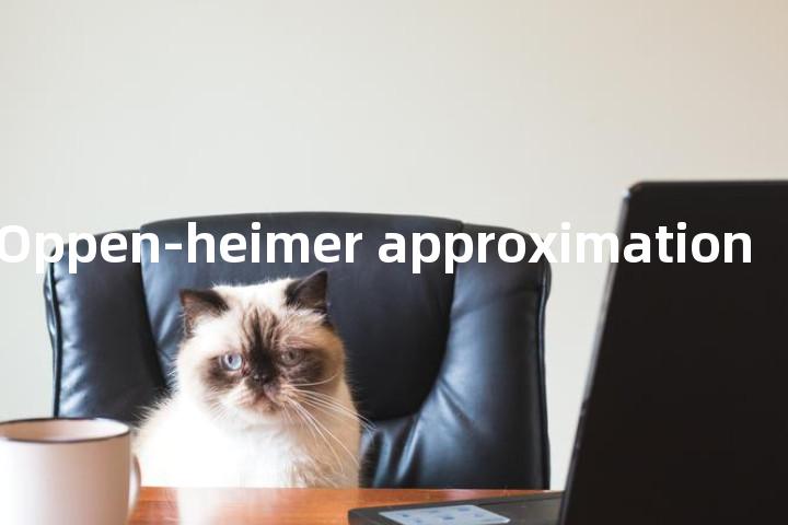 Born-Oppen-heimer approximation单词图解，单词释义场景配图