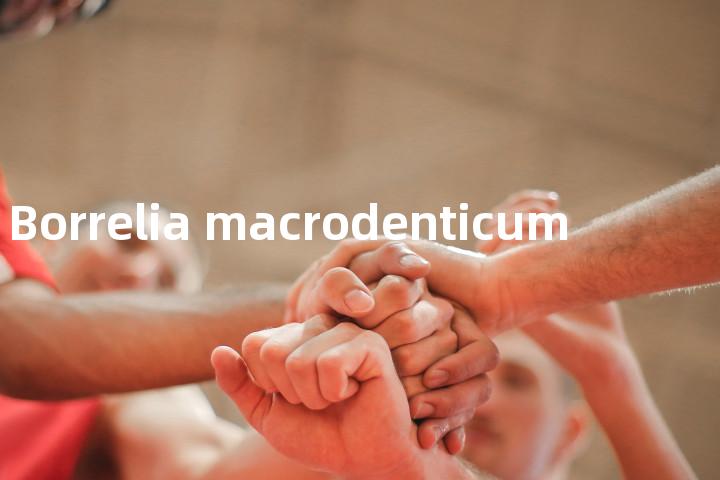 Borrelia macrodenticum单词图解，单词释义场景配图