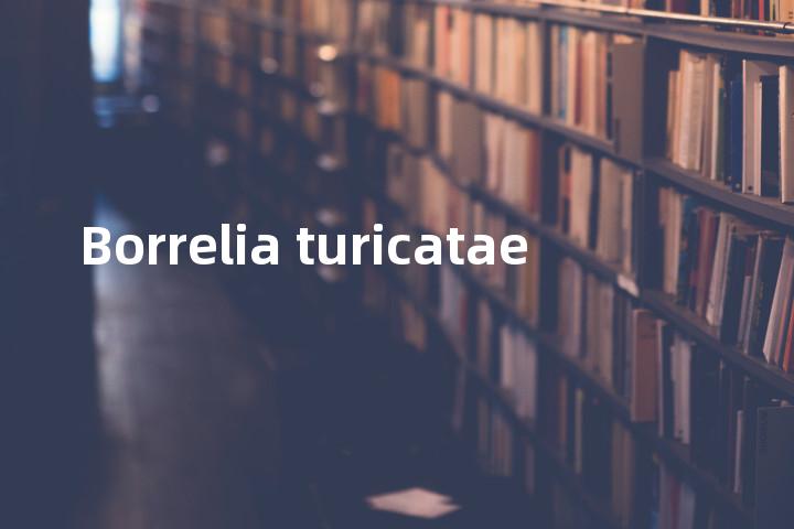 Borrelia turicatae单词图解，单词释义场景配图