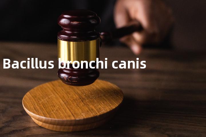 Bacillus bronchi canis单词图解，单词释义场景配图
