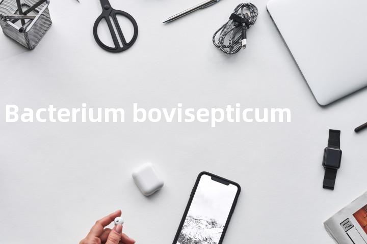 Bacterium bovisepticum单词图解，单词释义场景配图