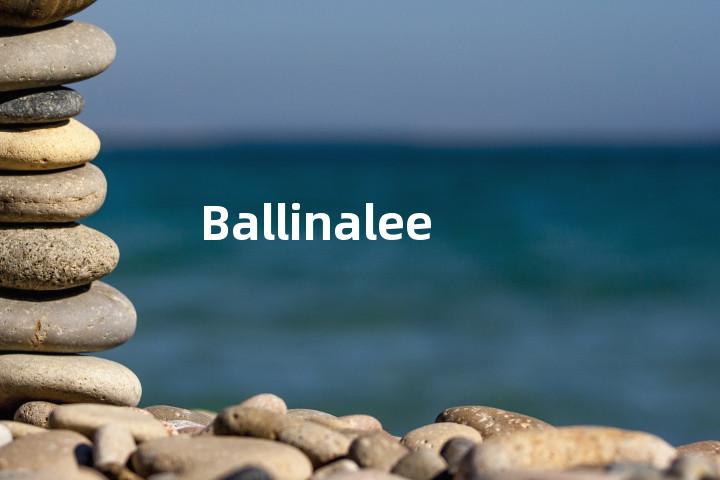 Ballinalee单词图解，单词释义场景配图