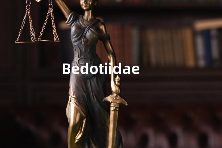Bedotiidae单词图解，单词释义场景配图
