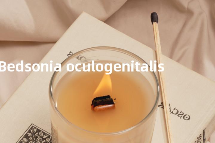 Bedsonia oculogenitalis单词图解，单词释义场景配图