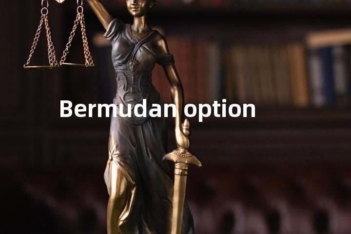 Bermudan option单词图解，单词释义场景配图