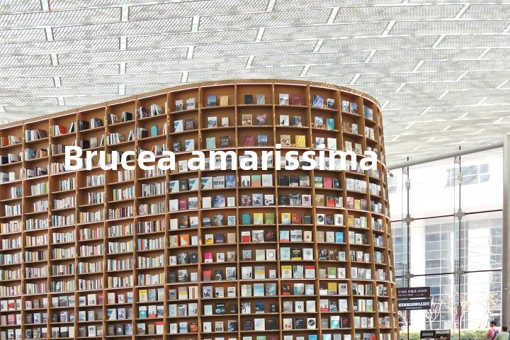 Brucea amarissima单词图解，单词释义场景配图