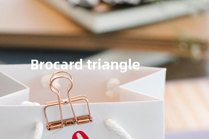 Brocard triangle单词图解，单词释义场景配图