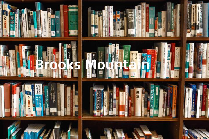 Brooks Mountain单词图解，单词释义场景配图