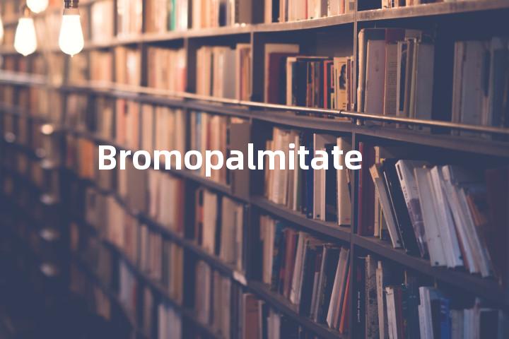 Bromopalmitate单词图解，单词释义场景配图