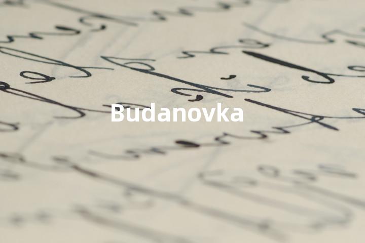 Budanovka单词图解，单词释义场景配图