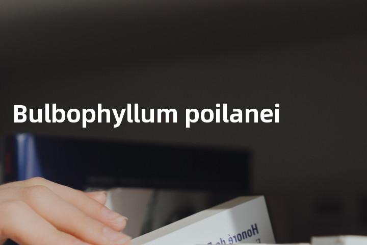 Bulbophyllum poilanei单词图解，单词释义场景配图