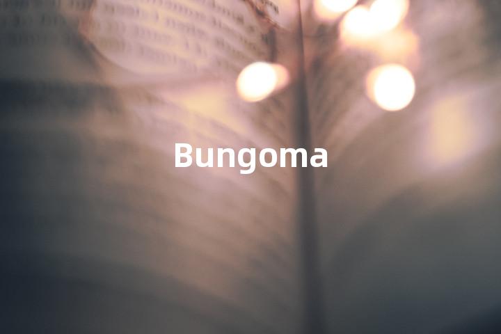 Bungoma单词图解，单词释义场景配图