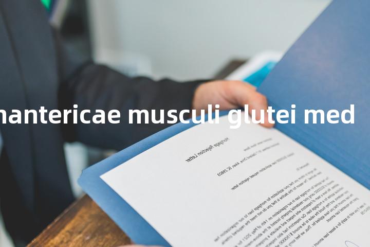 Bursae trochantericae musculi glutei medii单词图解，单词释义场景配图