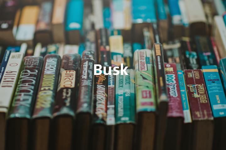 Busk