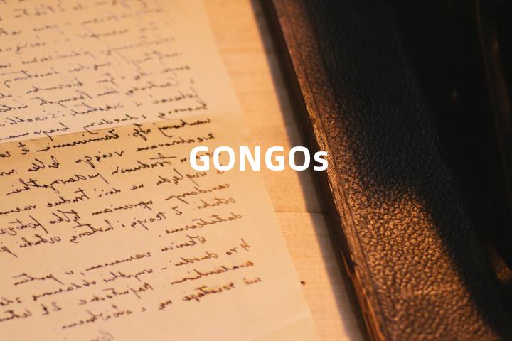 GONGOs单词图解，单词释义场景配图