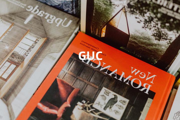 GUC单词图解，单词释义场景配图