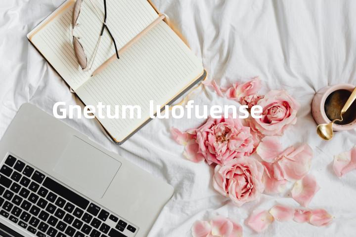 Gnetum luofuense单词图解，单词释义场景配图