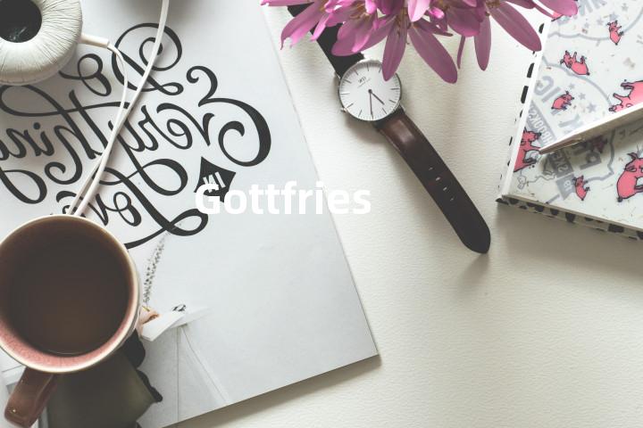 Gottfries单词图解，单词释义场景配图