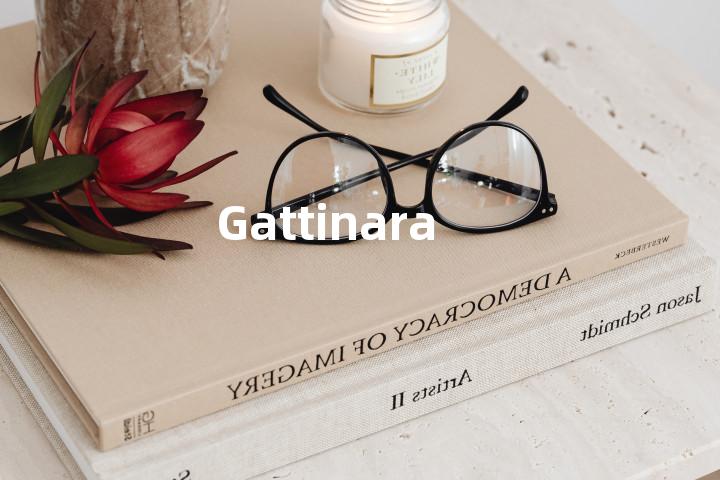 Gattinara单词图解，单词释义场景配图