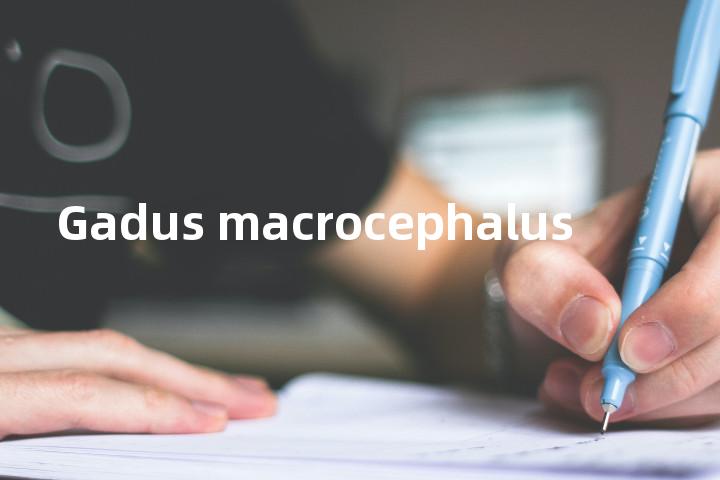 Gadus macrocephalus单词图解，单词释义场景配图
