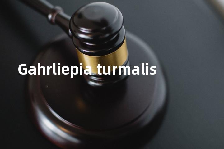 Gahrliepia turmalis单词图解，单词释义场景配图