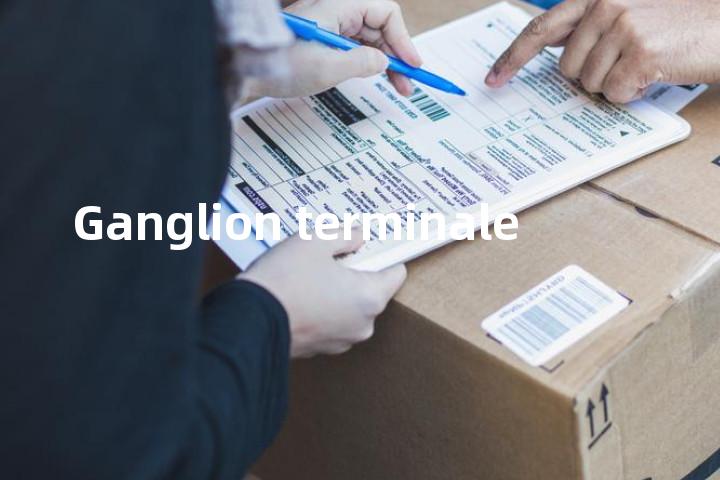 Ganglion terminale单词图解，单词释义场景配图