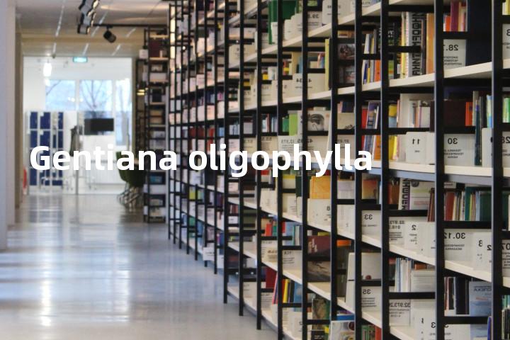 Gentiana oligophylla单词图解，单词释义场景配图