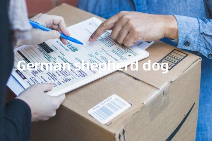German shepherd dog单词图解，单词释义场景配图