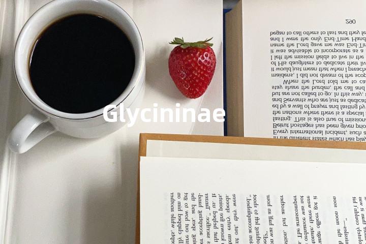 Glycininae单词图解，单词释义场景配图