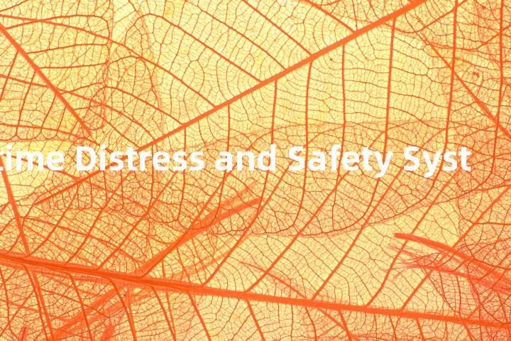 Global Maritime Distress and Safety System单词图解，单词释义场景配图
