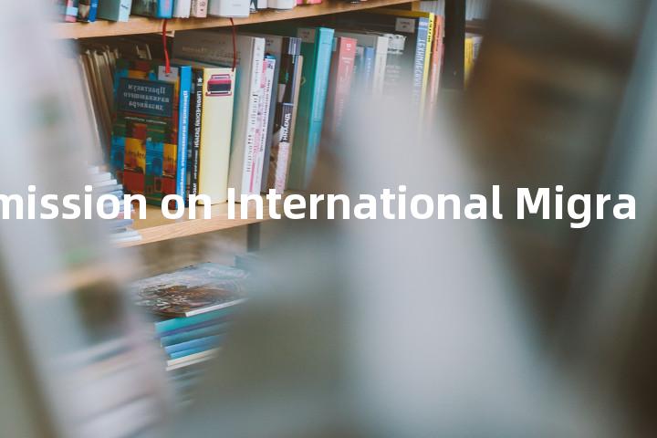 Global Commission on International Migration单词图解，单词释义场景配图