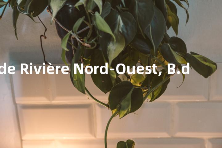 Grande Rivière Nord-Ouest, B.d单词图解，单词释义场景配图