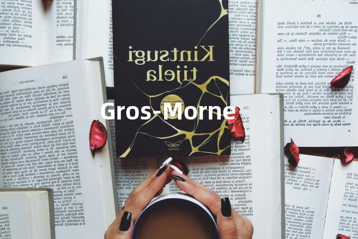 Gros-Morne单词图解，单词释义场景配图