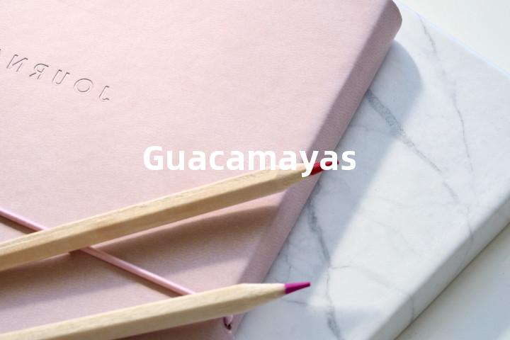 Guacamayas单词图解，单词释义场景配图
